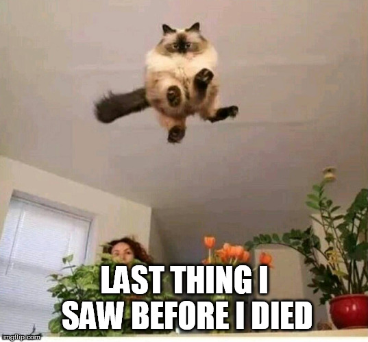 LAST THING I SAW BEFORE I DIED | made w/ Imgflip meme maker