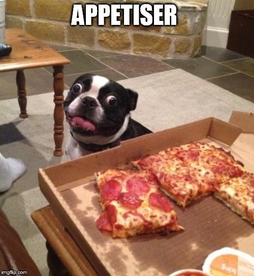 Hungry Pizza Dog | APPETISER | image tagged in hungry pizza dog | made w/ Imgflip meme maker