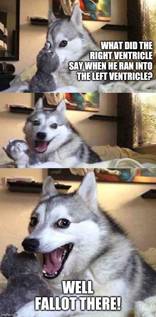 Dog Joke | WHAT DID THE RIGHT VENTRICLE SAY WHEN HE RAN INTO THE LEFT VENTRICLE? WELL FALLOT THERE! | image tagged in dog joke | made w/ Imgflip meme maker