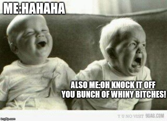 Crying baby | ME:HAHAHA ALSO ME:OH KNOCK IT OFF YOU BUNCH OF WHINY B**CHES! | image tagged in crying baby | made w/ Imgflip meme maker