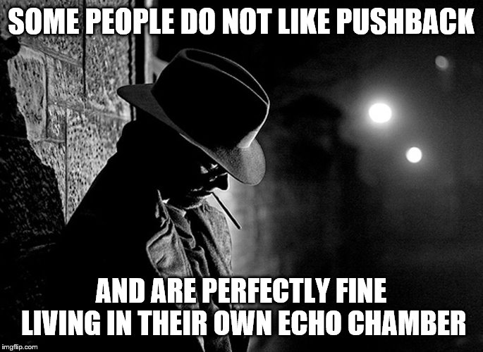 SOME PEOPLE DO NOT LIKE PUSHBACK AND ARE PERFECTLY FINE LIVING IN THEIR OWN ECHO CHAMBER | made w/ Imgflip meme maker