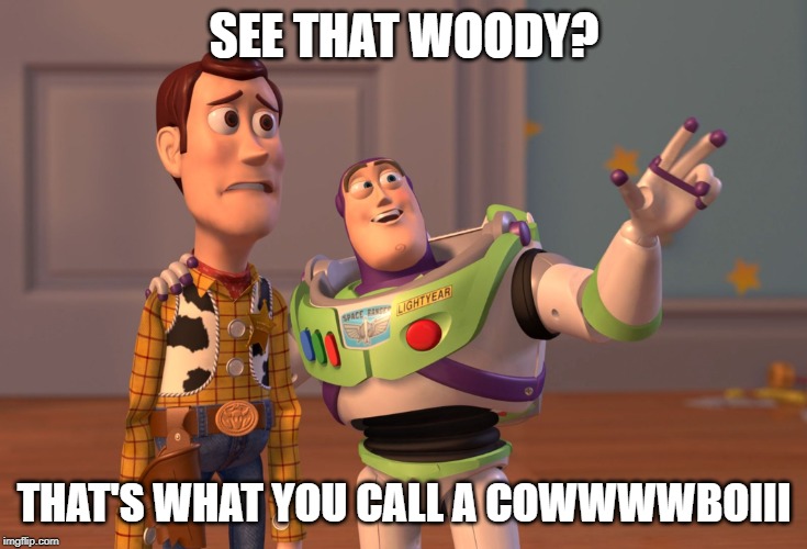 X, X Everywhere Meme | SEE THAT WOODY? THAT'S WHAT YOU CALL A COWWWWBOIII | image tagged in memes,x x everywhere | made w/ Imgflip meme maker