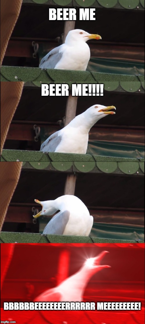 Inhaling Seagull | BEER ME; BEER ME!!!! BBBBBBEEEEEEEERRRRRR MEEEEEEEEE! | image tagged in memes,inhaling seagull | made w/ Imgflip meme maker