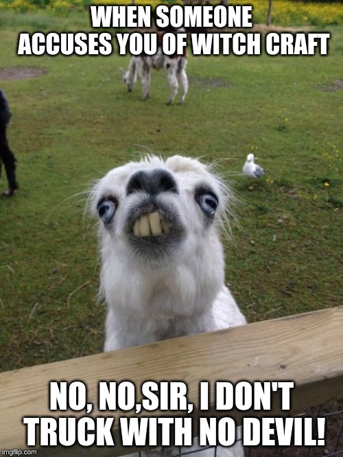 Llama weird face  | WHEN SOMEONE ACCUSES YOU OF WITCH CRAFT; NO, NO,SIR, I DON'T TRUCK WITH NO DEVIL! | image tagged in llama weird face | made w/ Imgflip meme maker