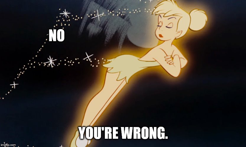 Tinkerbell | NO YOU'RE WRONG. | image tagged in tinkerbell | made w/ Imgflip meme maker
