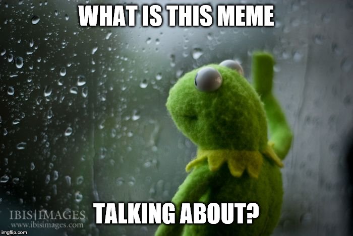 kermit window | WHAT IS THIS MEME TALKING ABOUT? | image tagged in kermit window | made w/ Imgflip meme maker
