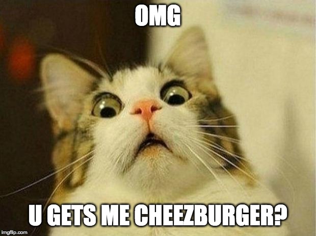 Scared Cat Meme | OMG; U GETS ME CHEEZBURGER? | image tagged in memes,scared cat | made w/ Imgflip meme maker