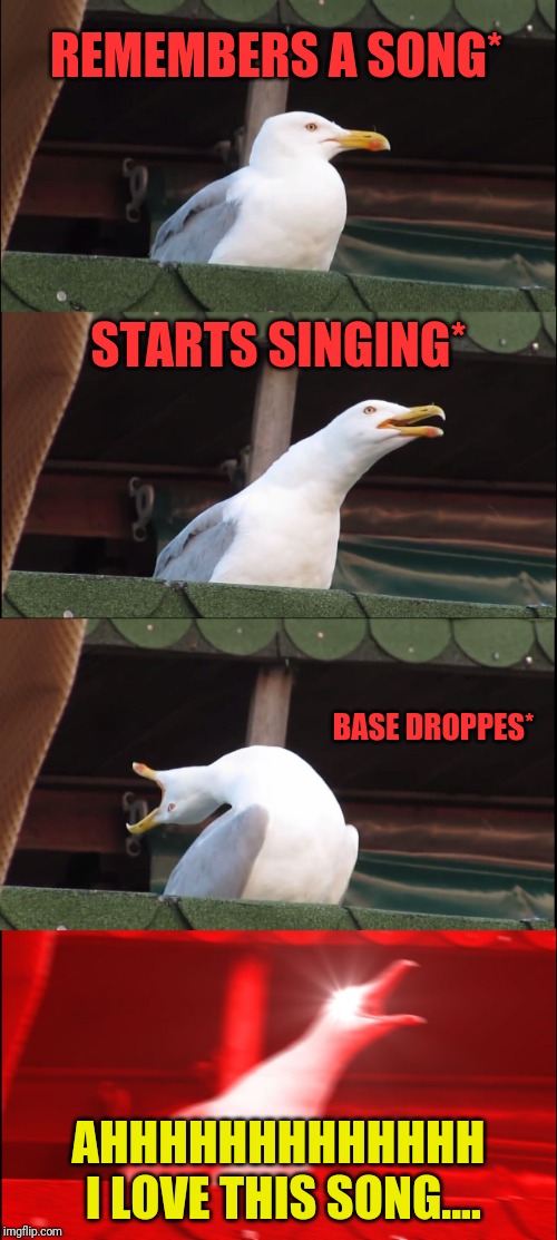 Inhaling Seagull Meme | REMEMBERS A SONG*; STARTS SINGING*; BASE DROPPES*; AHHHHHHHHHHHHH I LOVE THIS SONG.... | image tagged in memes,inhaling seagull | made w/ Imgflip meme maker