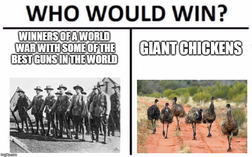 Who Would Win? | WINNERS OF A WORLD WAR WITH SOME OF THE BEST GUNS IN THE WORLD; GIANT CHICKENS | image tagged in memes,who would win | made w/ Imgflip meme maker