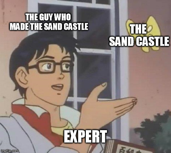 Is This A Pigeon Meme | THE GUY WHO MADE THE SAND CASTLE THE SAND CASTLE EXPERT | image tagged in memes,is this a pigeon | made w/ Imgflip meme maker