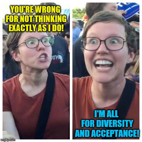 Why are the people who say they're for diversity and acceptance the ones who do so much attacking people on social media? | YOU'RE WRONG FOR NOT THINKING EXACTLY AS I DO! I'M ALL FOR DIVERSITY AND ACCEPTANCE! | image tagged in social justice warrior hypocrisy,diversity,acceptance,memes | made w/ Imgflip meme maker