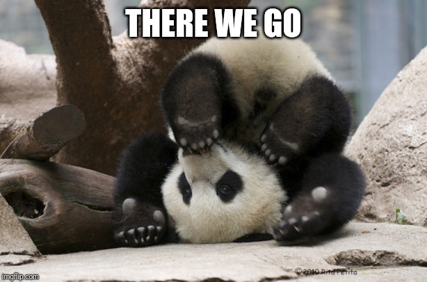 Upside down panda | THERE WE GO | image tagged in upside down panda | made w/ Imgflip meme maker