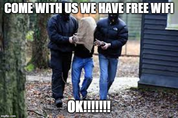 Kidnapping | COME WITH US WE HAVE FREE WIFI; OK!!!!!!! | image tagged in kidnapping | made w/ Imgflip meme maker