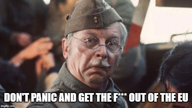 dad's army | DON'T PANIC AND GET THE F*** OUT OF THE EU | image tagged in dad's army | made w/ Imgflip meme maker