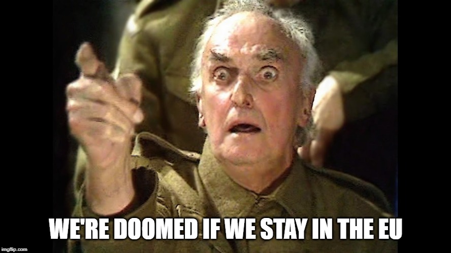 Dad's Army Doomed | WE'RE DOOMED IF WE STAY IN THE EU | image tagged in dad's army doomed | made w/ Imgflip meme maker