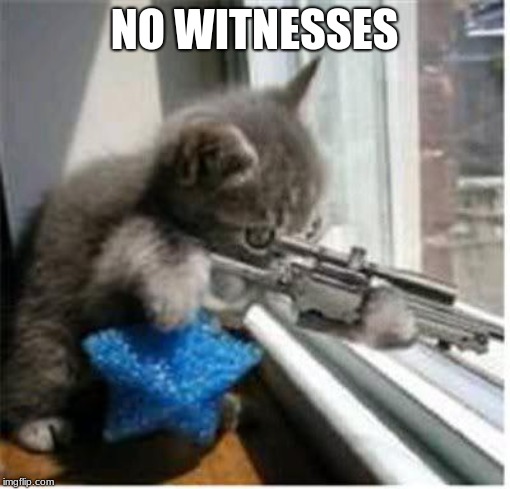 cats with guns | NO WITNESSES | image tagged in cats with guns | made w/ Imgflip meme maker
