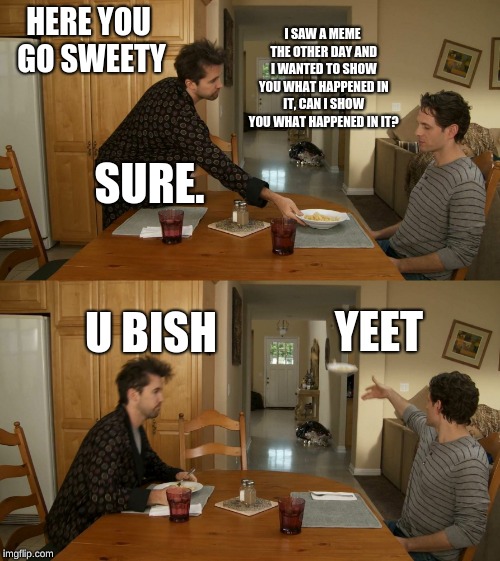 Plate toss | I SAW A MEME THE OTHER DAY AND I WANTED TO SHOW YOU WHAT HAPPENED IN IT, CAN I SHOW YOU WHAT HAPPENED IN IT? HERE YOU GO SWEETY; SURE. YEET; U BISH | image tagged in plate toss | made w/ Imgflip meme maker