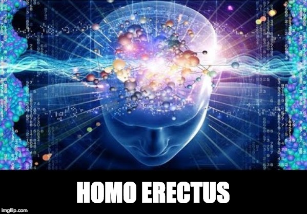 HOMO ERECTUS | made w/ Imgflip meme maker