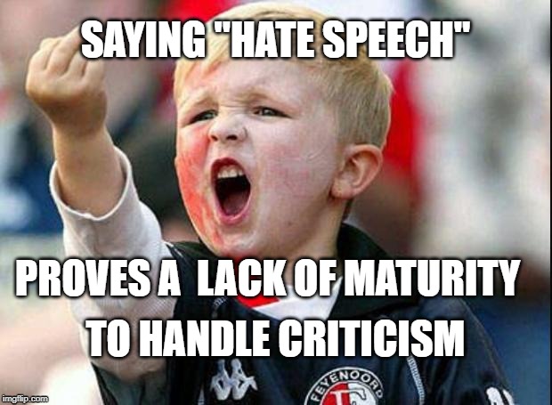 Angry Child | SAYING "HATE SPEECH"; PROVES A  LACK OF MATURITY; TO HANDLE CRITICISM | image tagged in angry child | made w/ Imgflip meme maker