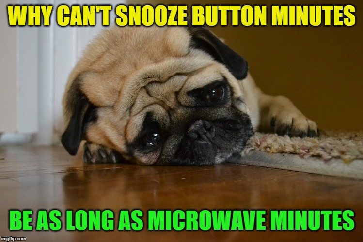 Or just reversed? That would work too | WHY CAN'T SNOOZE BUTTON MINUTES; BE AS LONG AS MICROWAVE MINUTES | image tagged in first world problems dog,snooze button,microwave | made w/ Imgflip meme maker