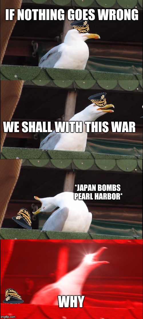 Inhaling Seagull | IF NOTHING GOES WRONG; WE SHALL WITH THIS WAR; *JAPAN BOMBS PEARL HARBOR*; WHY | image tagged in memes,inhaling seagull | made w/ Imgflip meme maker