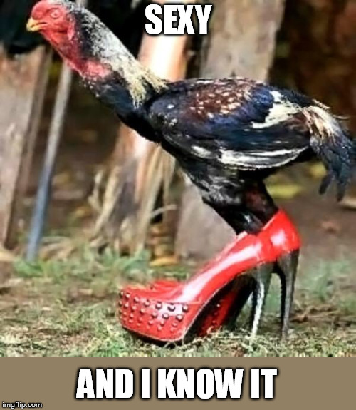 SEXY AND I KNOW IT | made w/ Imgflip meme maker