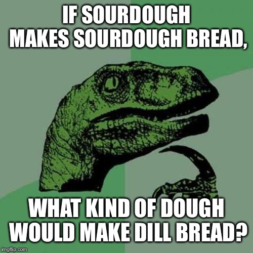 Philosoraptor Meme | IF SOURDOUGH MAKES SOURDOUGH BREAD, WHAT KIND OF DOUGH WOULD MAKE DILL BREAD? | image tagged in memes,philosoraptor | made w/ Imgflip meme maker