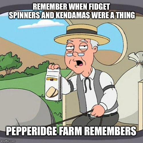 Pepperidge Farm Remembers | REMEMBER WHEN FIDGET SPINNERS AND KENDAMAS WERE A THING; PEPPERIDGE FARM REMEMBERS | image tagged in memes,pepperidge farm remembers | made w/ Imgflip meme maker