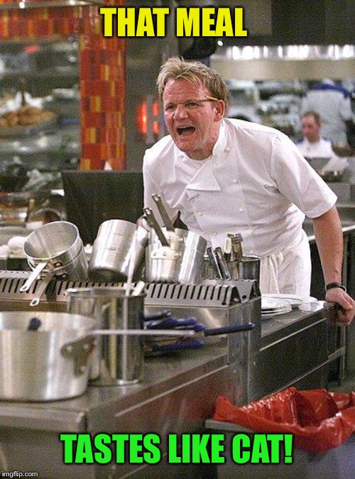 hell's kitchen | THAT MEAL TASTES LIKE CAT! | image tagged in hell's kitchen | made w/ Imgflip meme maker