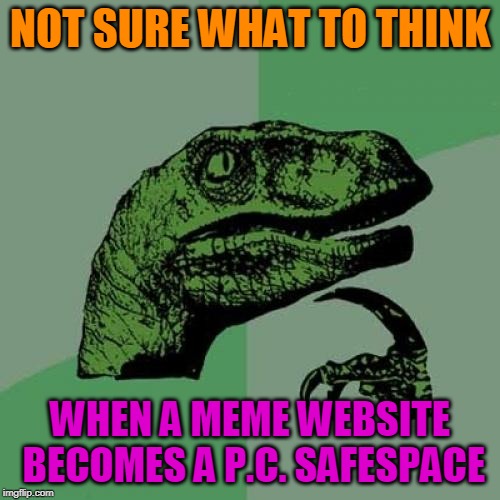 Philosoraptor | NOT SURE WHAT TO THINK; WHEN A MEME WEBSITE BECOMES A P.C. SAFESPACE | image tagged in memes,philosoraptor | made w/ Imgflip meme maker