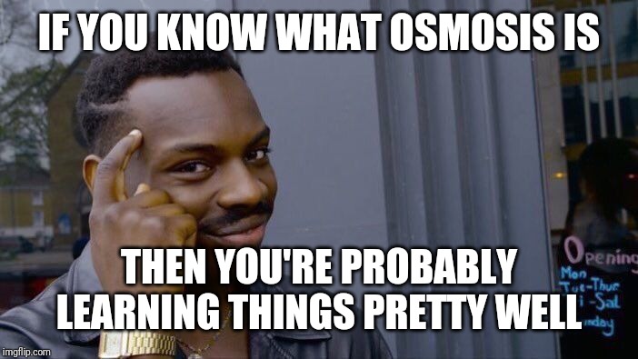 Roll Safe Think About It Meme | IF YOU KNOW WHAT OSMOSIS IS THEN YOU'RE PROBABLY LEARNING THINGS PRETTY WELL | image tagged in memes,roll safe think about it | made w/ Imgflip meme maker