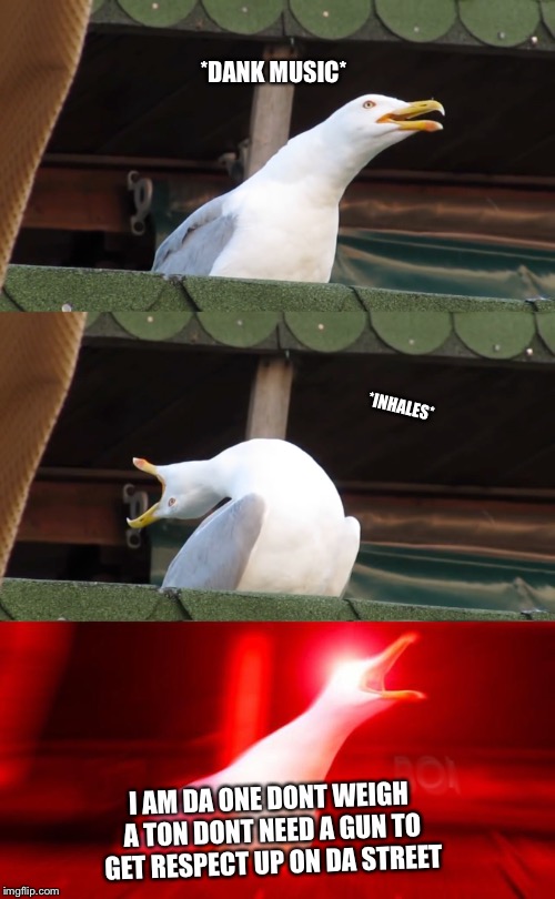 Inhaling seagull | *DANK MUSIC*; *INHALES*; I AM DA ONE DONT WEIGH A TON DONT NEED A GUN TO GET RESPECT UP ON DA STREET | image tagged in inhaling seagull | made w/ Imgflip meme maker