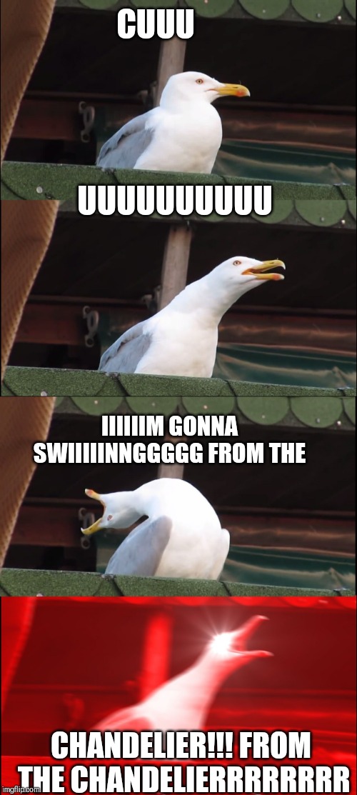 Inhaling Seagull Meme | CUUU; UUUUUUUUUU; IIIIIIM GONNA SWIIIIINNGGGGG FROM THE; CHANDELIER!!! FROM THE CHANDELIERRRRRRRR | image tagged in memes,inhaling seagull | made w/ Imgflip meme maker