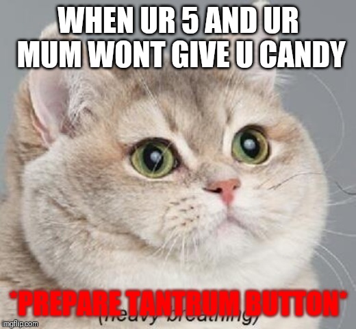 Heavy Breathing Cat | WHEN UR 5 AND UR MUM WONT GIVE U CANDY; *PREPARE TANTRUM BUTTON* | image tagged in memes,heavy breathing cat | made w/ Imgflip meme maker