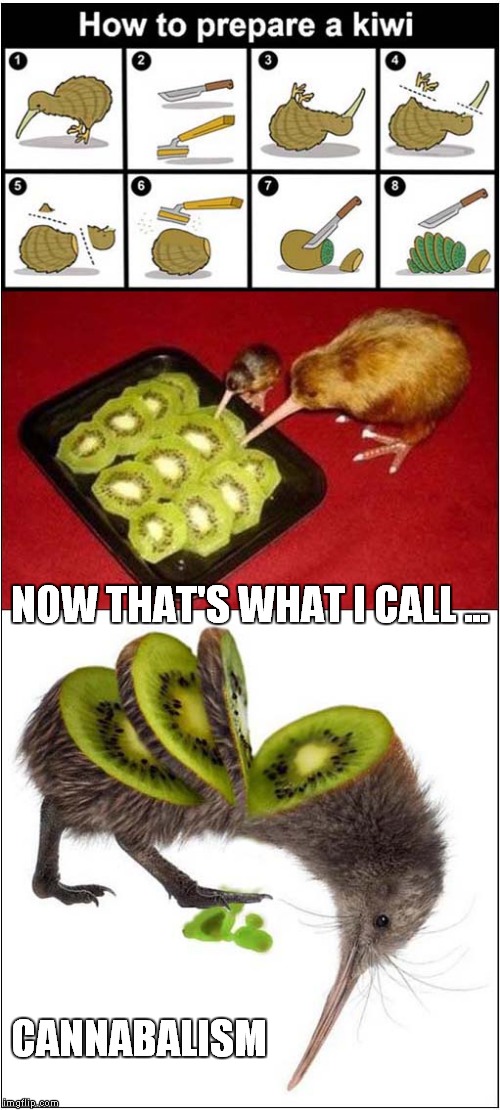 Now That's What I Call Cannabalism | NOW THAT'S WHAT I CALL ... CANNABALISM | image tagged in fun,repost,kiwi | made w/ Imgflip meme maker