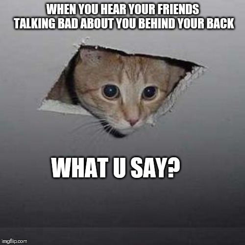 Ceiling Cat Meme | WHEN YOU HEAR YOUR FRIENDS TALKING BAD ABOUT YOU BEHIND YOUR BACK; WHAT U SAY? | image tagged in memes,ceiling cat | made w/ Imgflip meme maker