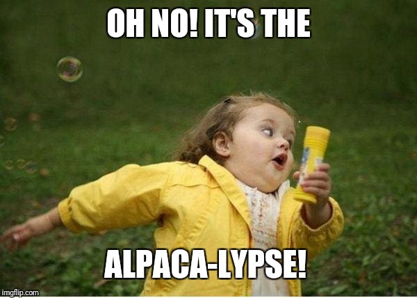 Chubby Bubbles Girl Meme | OH NO! IT'S THE ALPACA-LYPSE! | image tagged in memes,chubby bubbles girl | made w/ Imgflip meme maker