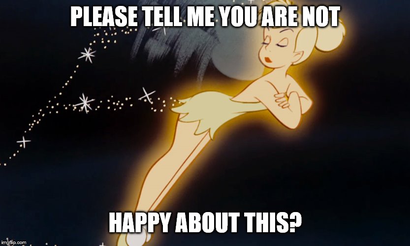 Tinkerbell | PLEASE TELL ME YOU ARE NOT HAPPY ABOUT THIS? | image tagged in tinkerbell | made w/ Imgflip meme maker