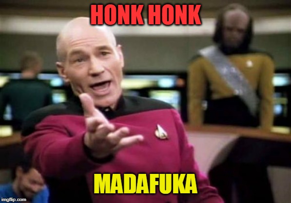 Picard Wtf | HONK HONK; MADAFUKA | image tagged in memes,picard wtf | made w/ Imgflip meme maker