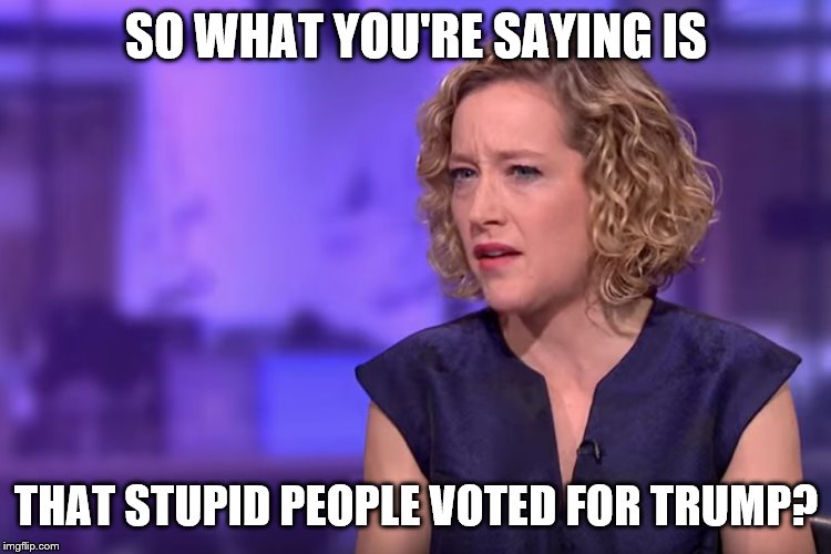 Jordan Peterson - so what you're saying | SO WHAT YOU'RE SAYING IS THAT STUPID PEOPLE VOTED FOR TRUMP? | image tagged in jordan peterson - so what you're saying | made w/ Imgflip meme maker