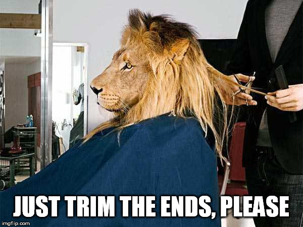 JUST TRIM THE ENDS, PLEASE | made w/ Imgflip meme maker