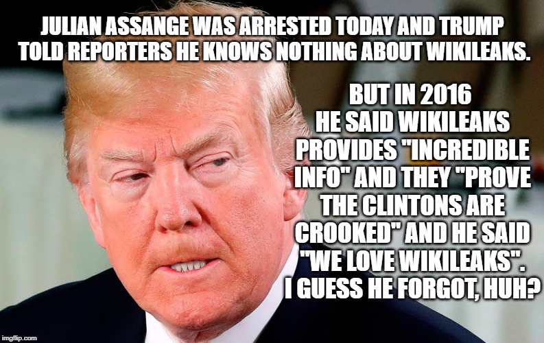 President Stupid Head | JULIAN ASSANGE WAS ARRESTED TODAY AND TRUMP TOLD REPORTERS HE KNOWS NOTHING ABOUT WIKILEAKS. BUT IN 2016 HE SAID WIKILEAKS PROVIDES "INCREDIBLE INFO" AND THEY "PROVE THE CLINTONS ARE CROOKED" AND HE SAID "WE LOVE WIKILEAKS". I GUESS HE FORGOT, HUH? | image tagged in wikileaks,julian assange,donald trump,liar,traitor,treason | made w/ Imgflip meme maker