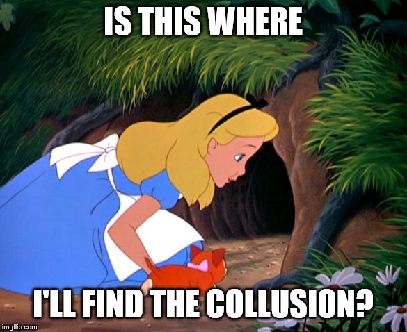 Alice Looking Down the Rabbit Hole | IS THIS WHERE I'LL FIND THE COLLUSION? | image tagged in alice looking down the rabbit hole | made w/ Imgflip meme maker