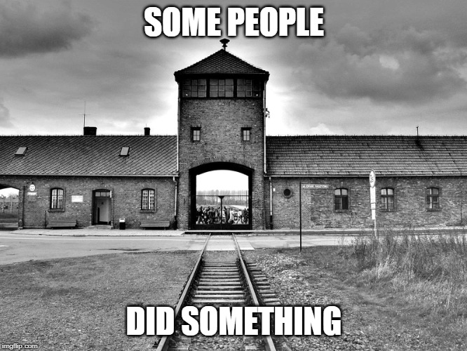 aushwitz | SOME PEOPLE; DID SOMETHING | image tagged in aushwitz | made w/ Imgflip meme maker