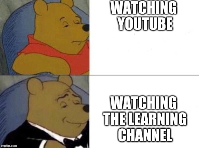 Tuxedo Winnie The Pooh Meme | WATCHING YOUTUBE; WATCHING THE LEARNING CHANNEL | image tagged in tuxedo winnie the pooh | made w/ Imgflip meme maker