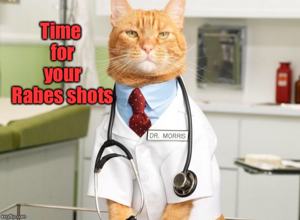Cat Doctor | Time for your Rabes shots | image tagged in cat doctor | made w/ Imgflip meme maker