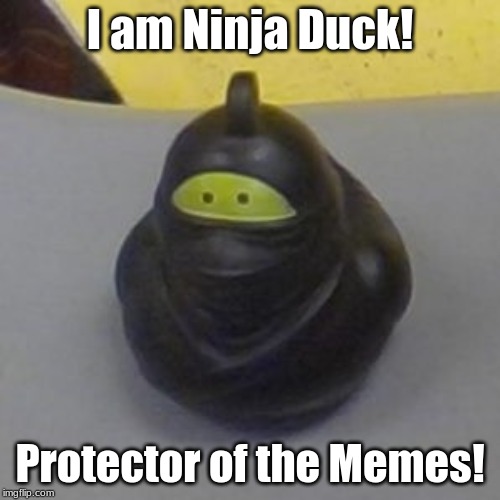 Protector of the Memes | I am Ninja Duck! Protector of the Memes! | image tagged in ninja rubber duck,duck,ninja,memes | made w/ Imgflip meme maker