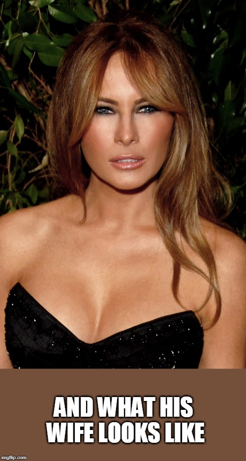 melania trump | AND WHAT HIS WIFE LOOKS LIKE | image tagged in melania trump | made w/ Imgflip meme maker