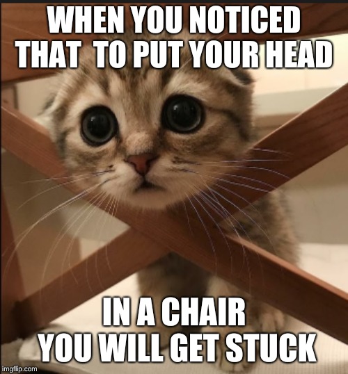 WHEN YOU NOTICED THAT  TO PUT YOUR HEAD; IN A CHAIR YOU WILL GET STUCK | image tagged in lol | made w/ Imgflip meme maker