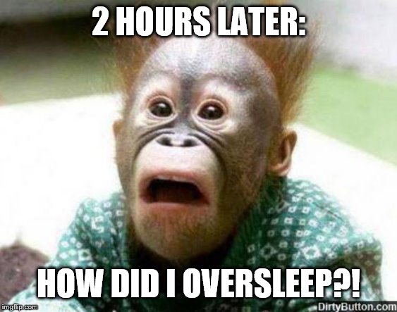 OH SHIT MONKEY | 2 HOURS LATER: HOW DID I OVERSLEEP?! | image tagged in oh shit monkey | made w/ Imgflip meme maker